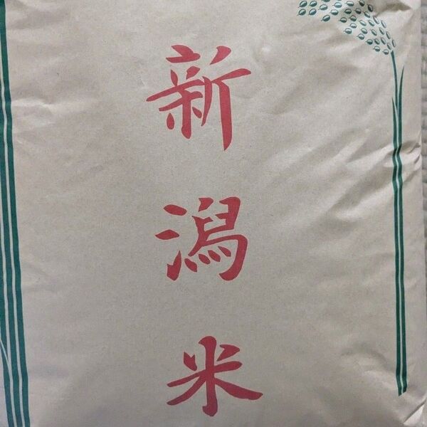 新潟県産平成6年コシヒカリ1.6kg 白米