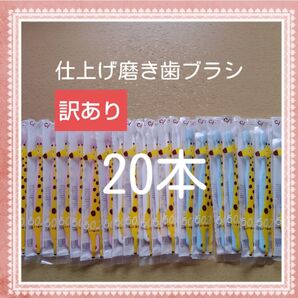 【242】限定特価 訳あり仕上げ磨き歯ブラシ ふつう20本