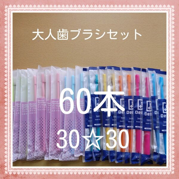 【241】歯科専売 大人歯ブラシ ふつう60本