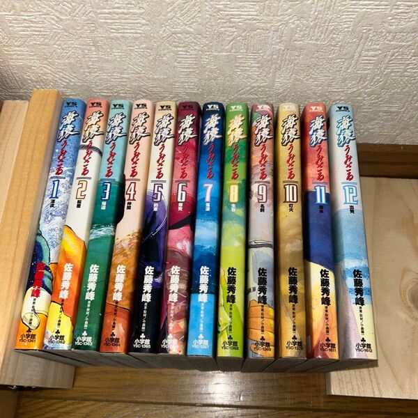 【値下げ】海猿 全12巻セット 佐藤秀峰