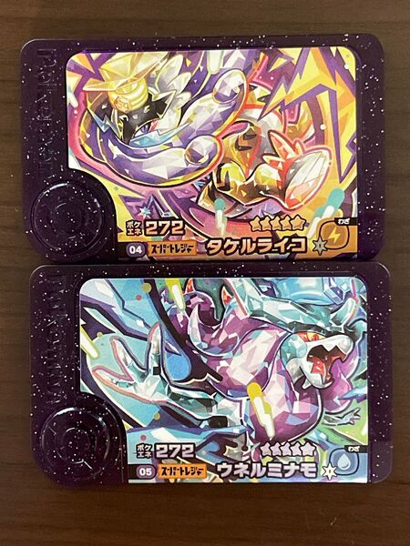 ポケモンフレンダ スーパートレジャー タケルライコ ウネルミナモ