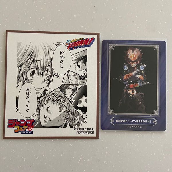 家庭教師ヒットマンREBORN ジャンプフェア 特典 ミニ色紙 キャラクターカード