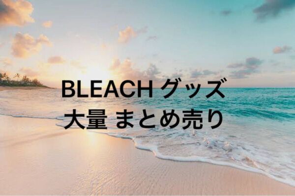 BLEACH EX 展示会 複製原稿 クリアファイル ポストカード 缶バッジ等 まとめ売り おまけ有り 単体バラ売り不可