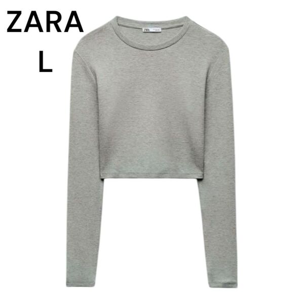 サイズL ZARA ロンT カットソー クルーネック 長袖 L ザラ ショートトップス ショート丈 クロップド丈