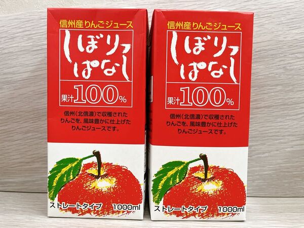 寿高原食品 信州産りんごジュース しぼりっぱなし 100%ストレート 2本セット 紙パック ストレートジュース