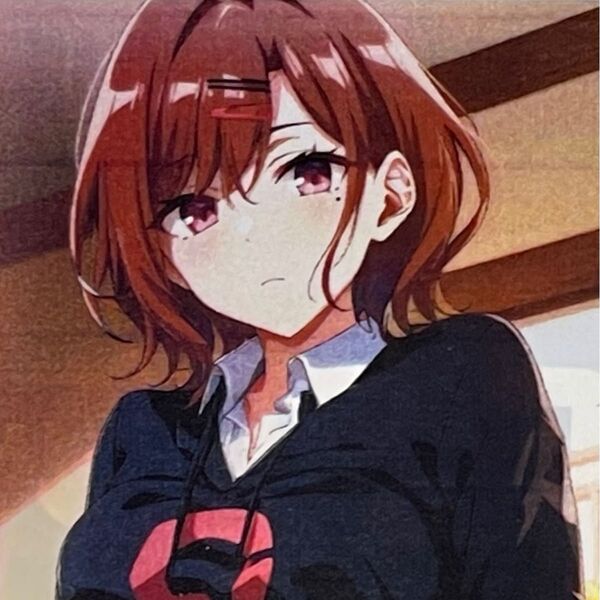 アニメ キャラクターグッズ ロングクッションカバー 両面印刷 2WAYトリコット