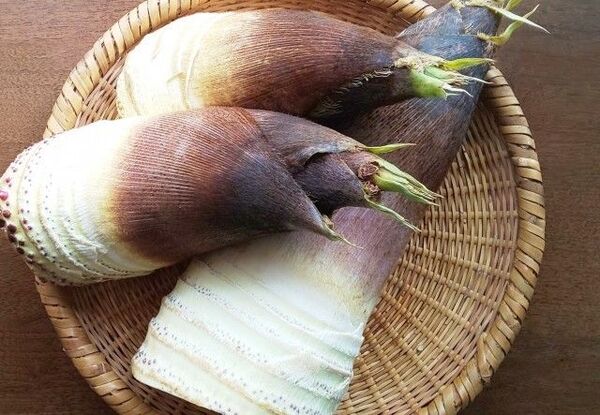 タケノコ(無農薬) 約3kg(3本以上)