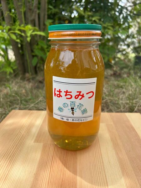 国産 純粋ハチミツ 春の百花蜜 1000g(ビン1本)☆抗生物質不使用の安心・安全な本物のハチミツ