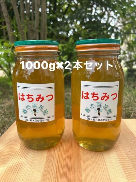 国産 純粋ハチミツ 春の百花蜜 1000g×2(ビン2本セット)☆抗生物質不使用の安心・安全な本物のハチミツ