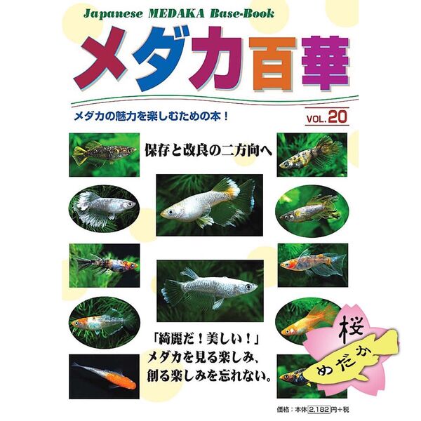 メダカ百華 Vol.20(ピーシーズ発行)