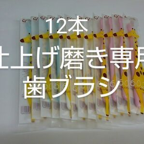 仕上げ磨き専用歯ブラシ Ci602 ふつう 12本セット(Ci603やわら