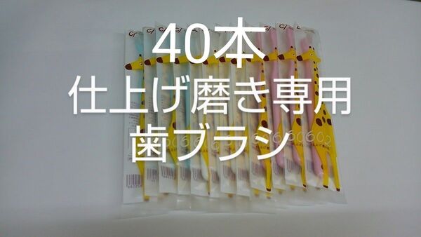 歯科医院専用仕上げ磨き専用の歯ブラシ Ci602 ふつう 40本セット(C