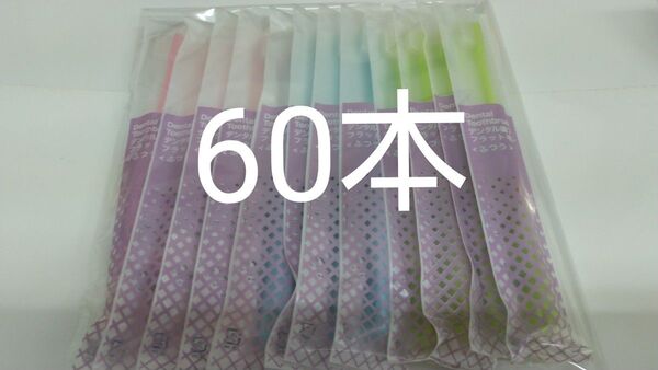 60本 歯科医院専用デンタル歯ブラシふつう☆