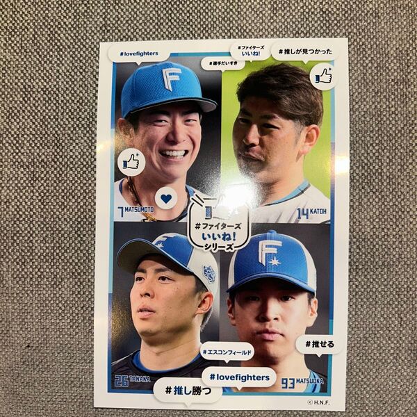 ファイターズ フォトポストカード 松本剛 加藤貴之 田中正義 松岡幸洸希 エスコン