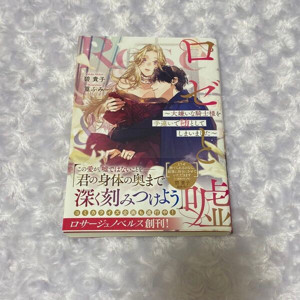 ロゼと嘘 大嫌いな騎士様を手違いで堕としてしまいました (Rosage Novels) 碧貴子/著