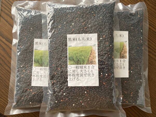 栃木県小山市産 令和6年度黒米 450g