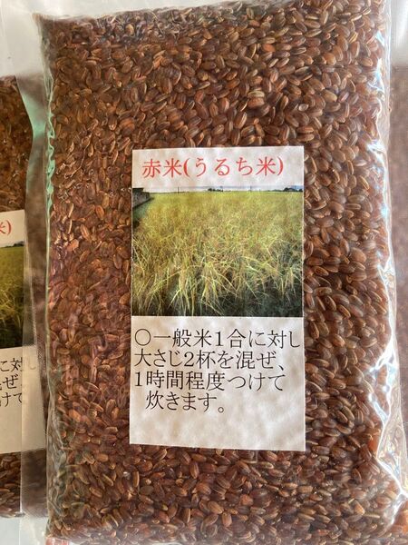古代米 赤米 450g