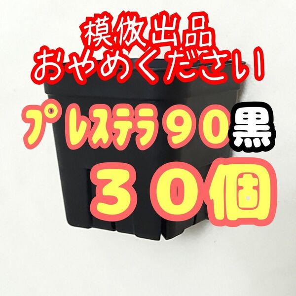 《プレステラ90》黒 30個 プラ鉢スリット鉢 多肉植物 植木鉢 【3号鉢】 相当