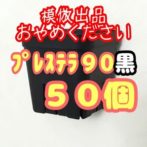 《プレステラ90》黒 50個 プラ鉢スリット鉢 多肉植物 植木鉢 【3号鉢】 相当