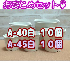 プラ鉢 20個 おまとめセット!【A-40・A-45 各10個】4号・4.5号鉢相当 プレステラ 多肉植物