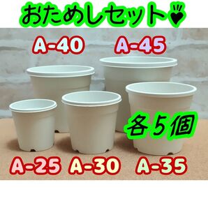 プラ鉢 5サイズおためしセット♪《A-25・A-30・A-35・A-40・A-45 各5個》プレステラ 多肉植物