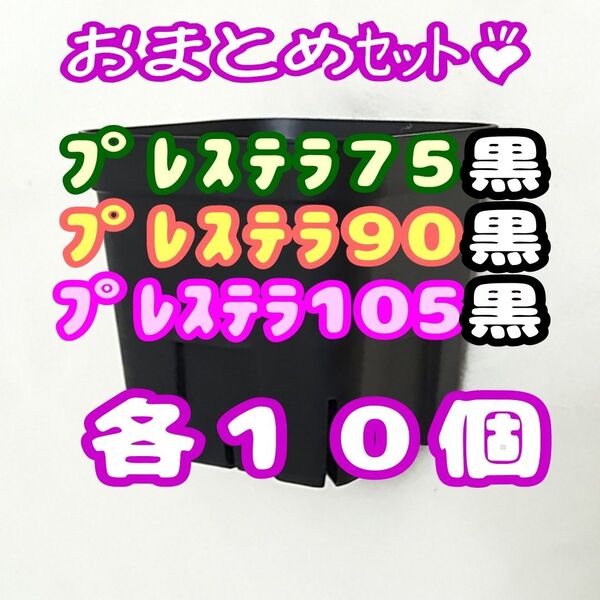 プレステラ黒 75&90&105 各10個 多肉植物 プラ鉢 スリット鉢