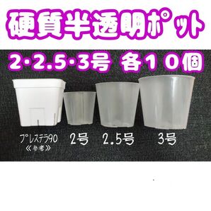 硬質半透明ポリポット 2・2.5・3号各10個 プラ鉢 多肉植物 プレステラ