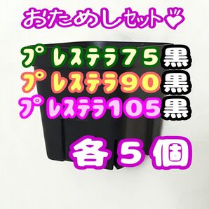 プレステラ黒 75&90&105 各5個 多肉植物 プラ鉢 スリット鉢