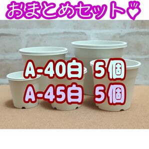 プラ鉢 10個 おまとめセット!【A-40・A-45 各5個】4号・4.5号鉢相当 プレステラ 多肉植物