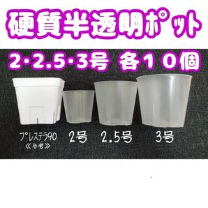 硬質半透明ポリポット 2・2.5・3号各10個 プラ鉢 多肉植物 プレステラ