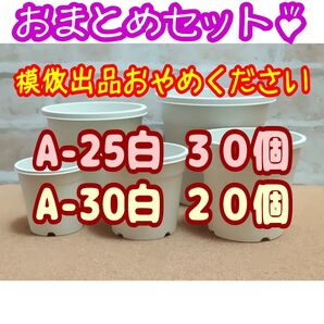 プラ鉢50個おまとめセット♪【A-25×30個・A-30×20個】プレステラ多肉