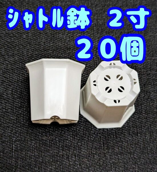 プラ鉢 シャトル鉢【2寸】20個 八角鉢 スリット鉢 プレステラ 多肉植物 2号鉢相当