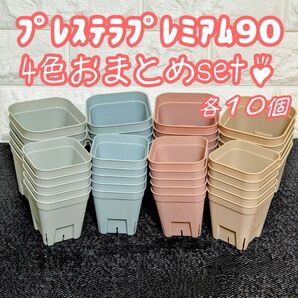 プレステラプレミアム90おまとめset♪4色各10個 多肉植物プラ鉢スリット鉢