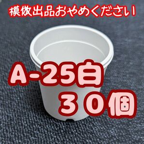 プラ鉢《A-25》白 30個 プラ鉢 2.5号相当 スリット鉢 多肉植物 プレステラ 植木鉢