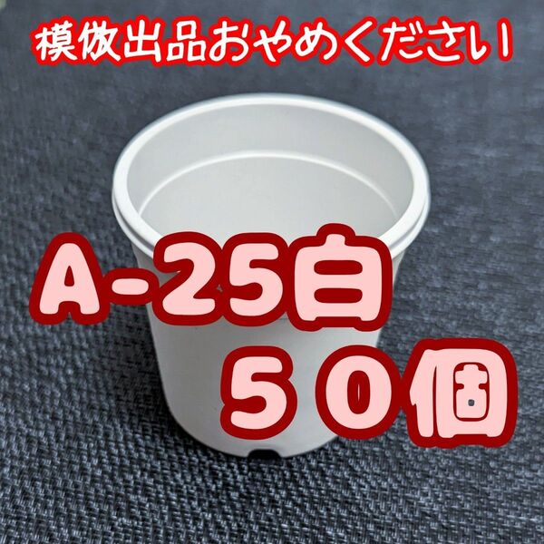 プラ鉢《A-25》白 50個 プラ鉢 2.5号相当 スリット鉢 多肉植物 プレステラ 植木鉢