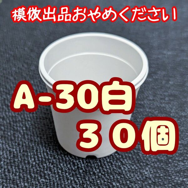 プラ鉢 A-30 白 30個 プラ鉢 3号相当 スリット鉢 多肉植物 プレステラ 植木鉢