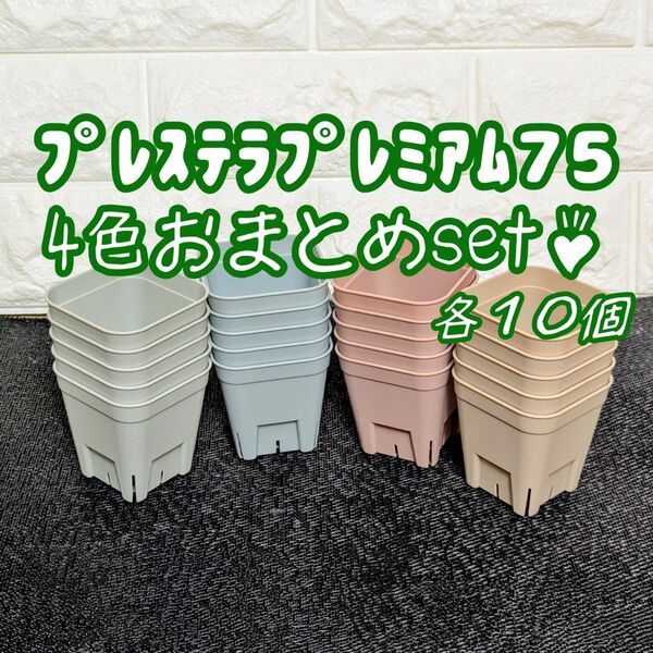 プレステラプレミアム75おまとめset♪4色各10個 多肉植物プラ鉢スリット鉢