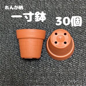 一寸鉢 30個セット 1号鉢 1号ポット 1号プラ鉢 プレステラ