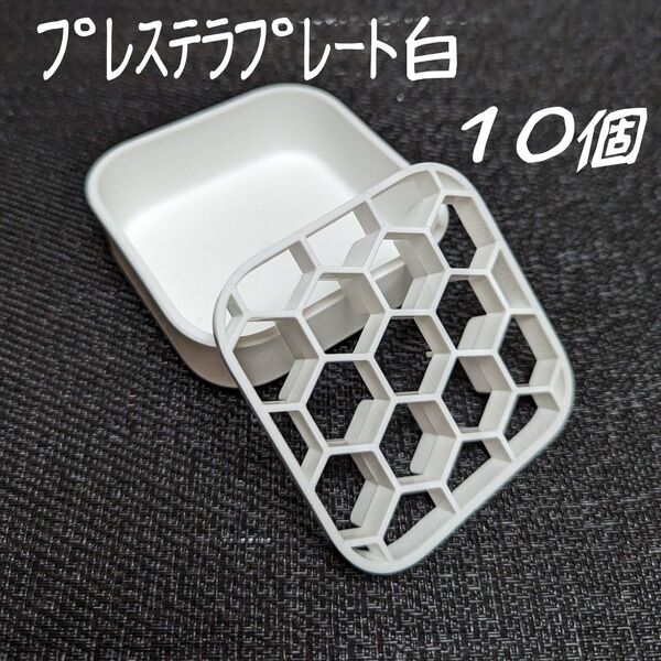 プレステラプレート白10個プラ鉢スリット鉢多肉植物R3LABO/UKEZARA