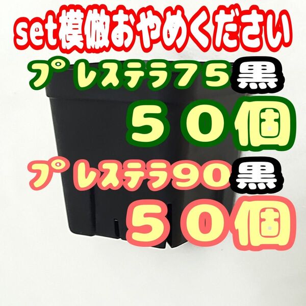 プレステラ黒 75&90 各50個 多肉植物 プラ鉢 スリット鉢