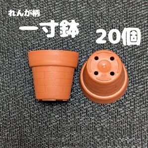 一寸鉢 20個セット 1号鉢 1号ポット 1号プラ鉢 プレステラ