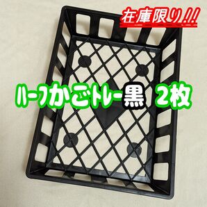 ハーフかごトレー 黒 2枚 A4サイズ♪ プラ鉢 プレステラ 多肉植物