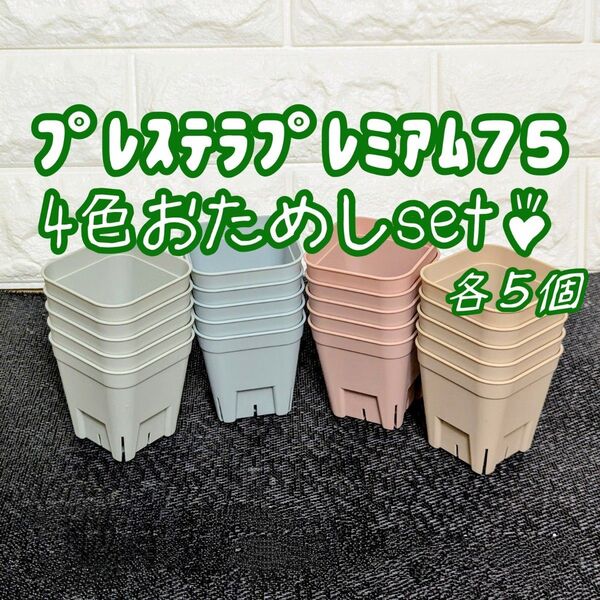 プレステラプレミアム75おまとめset♪4色各5個 多肉植物プラ鉢スリット鉢