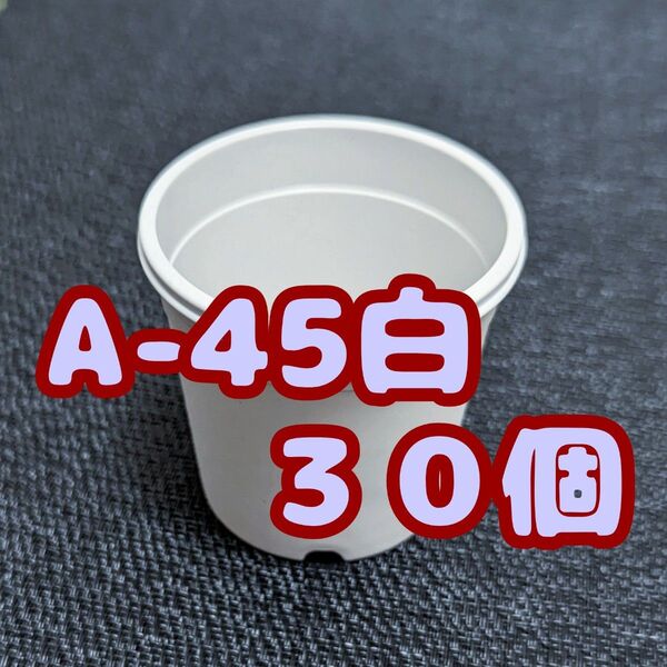 プラ鉢 《A-45》 白 30個 植木鉢 スリット鉢 多肉植物 丸 プレステラ