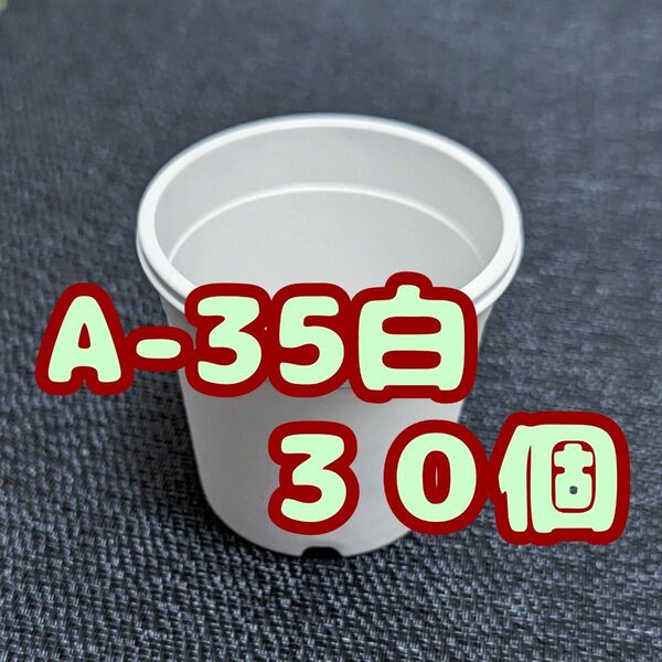 プラ鉢《A-35》白 30個 プラ鉢 3.5号相当 スリット鉢 多肉植物 プレステラ 植木鉢