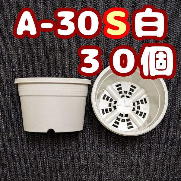 プラ鉢《A-30S》白 30個 プラ鉢 3号相当 スリット鉢 多肉植物 プレステラ 植木鉢