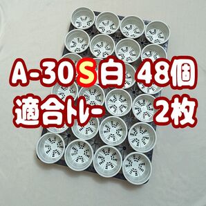 プラ鉢【A-30S】48個+専用システムトレー2枚スリット鉢プレステラ多肉植物 3号鉢 相当