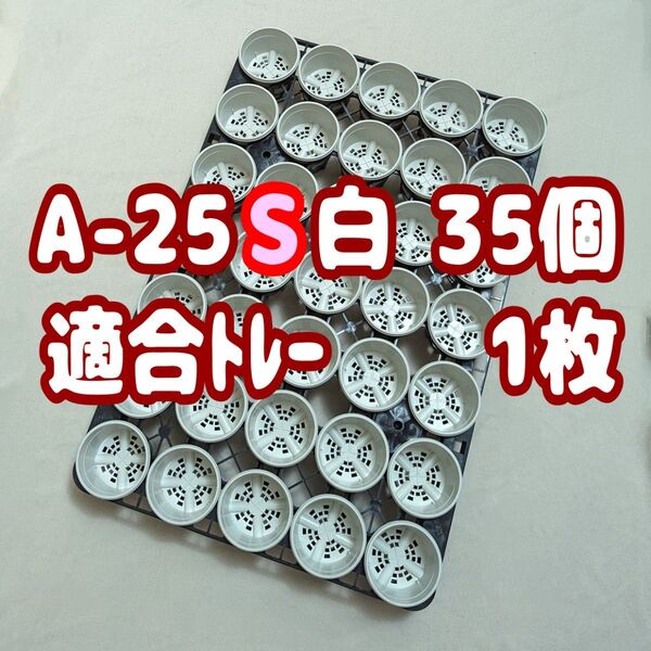 プラ鉢【A-25S】35個+専用システムトレー1枚スリット鉢プレステラ多肉植物 2.5号鉢 相当