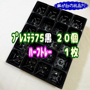《プレステラ75黒20個+ハーフトレー1枚》プラ鉢 スリット鉢 多肉植物