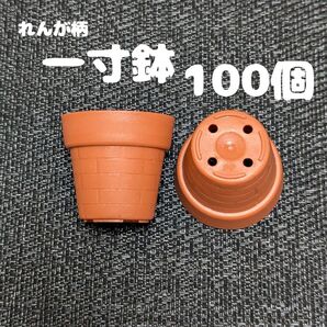 一寸鉢 100個セット 1号鉢 1号ポット 1号プラ鉢 プレステラ